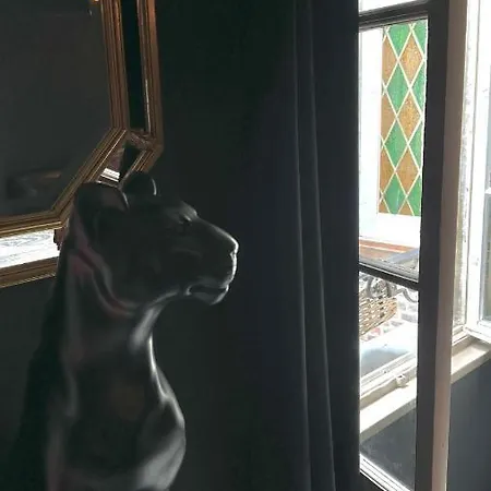 公寓 La Black / Les Romantiques A Centre Historique *