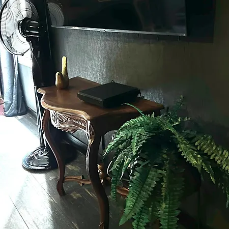 公寓 La Black / Les Romantiques A Centre Historique *