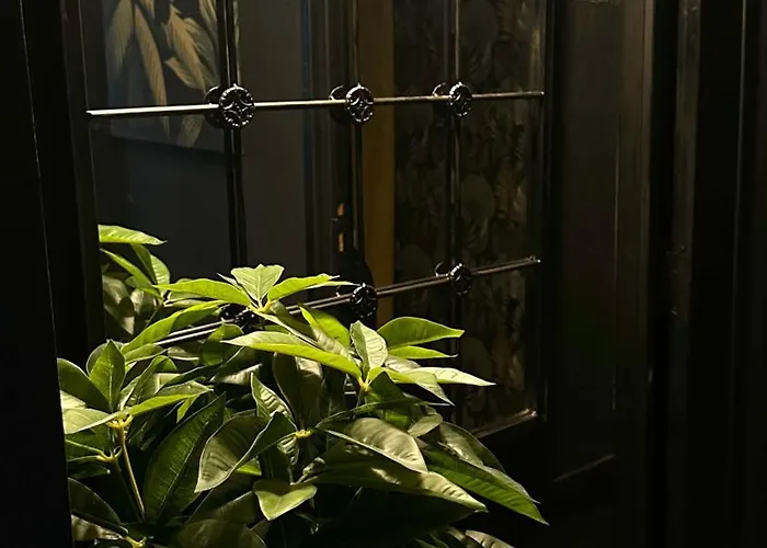 La Black / Les Romantiques A Centre Historique Honfleur