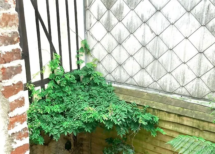 Lejlighed La Black / Les Romantiques A Centre Historique Honfleur